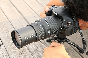 Amazon.co.jp: SIGMA 望遠ズームレンズ 70-300mm F4-5.6 DG MACRO