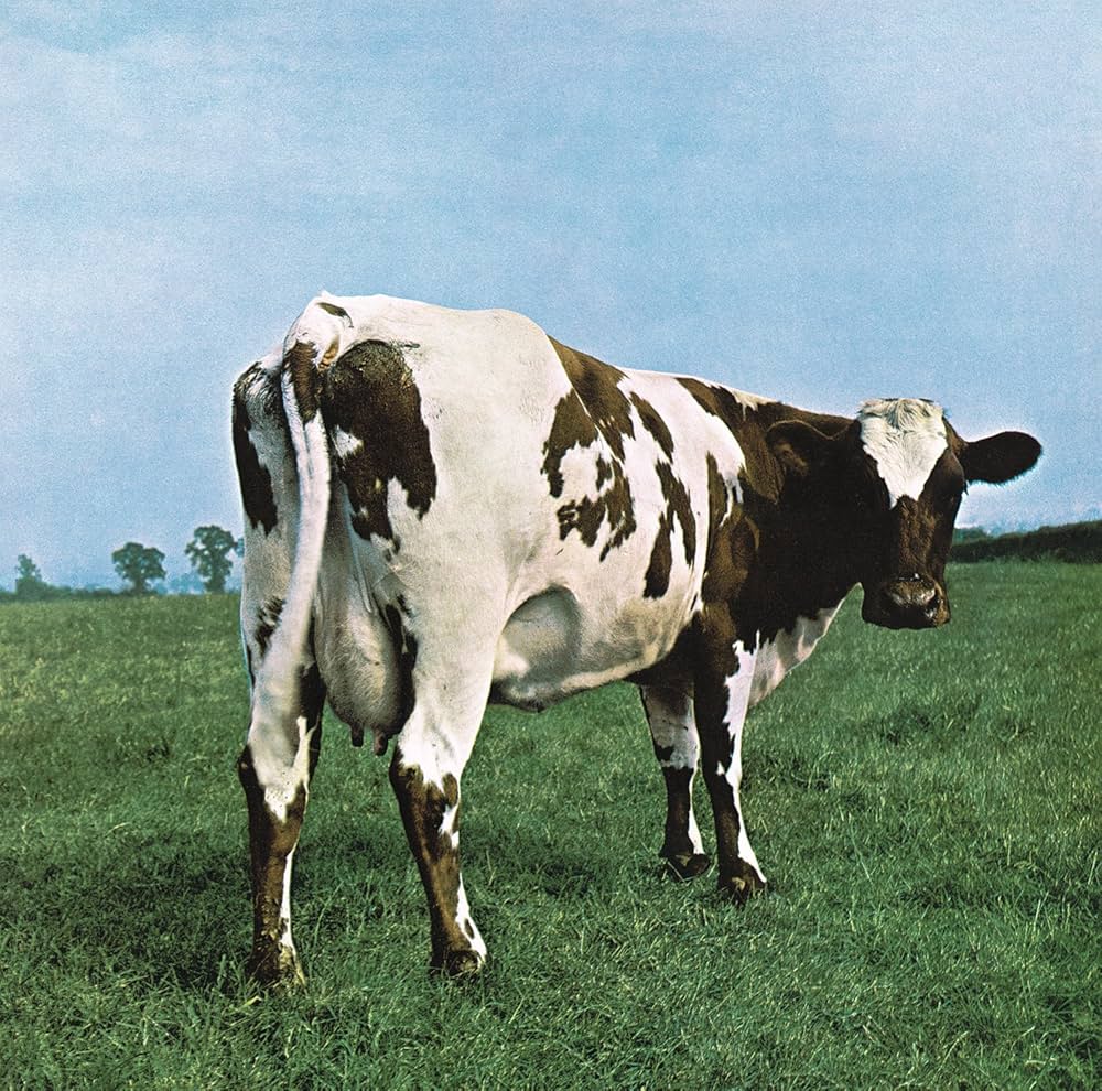 Amazon.com: Pink Floyd Atom Heart Mother [LP]: CDs & Vinyl