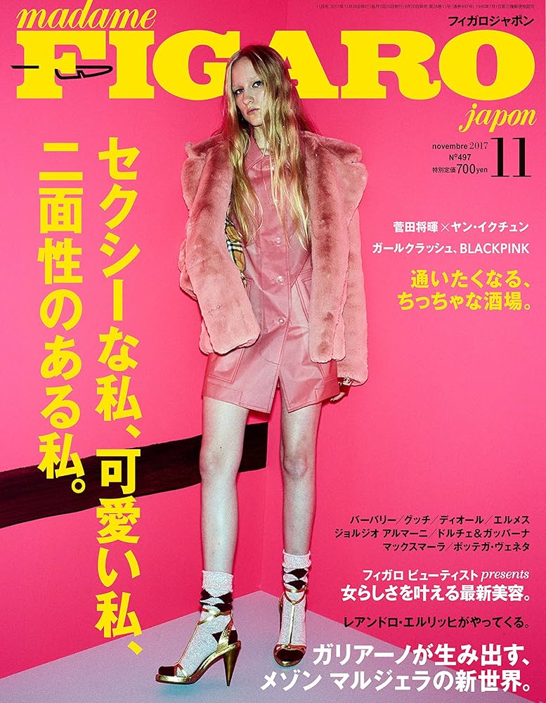 Amazon.com: madame FIGARO japon (フィガロ ジャポン) 2017年11月号