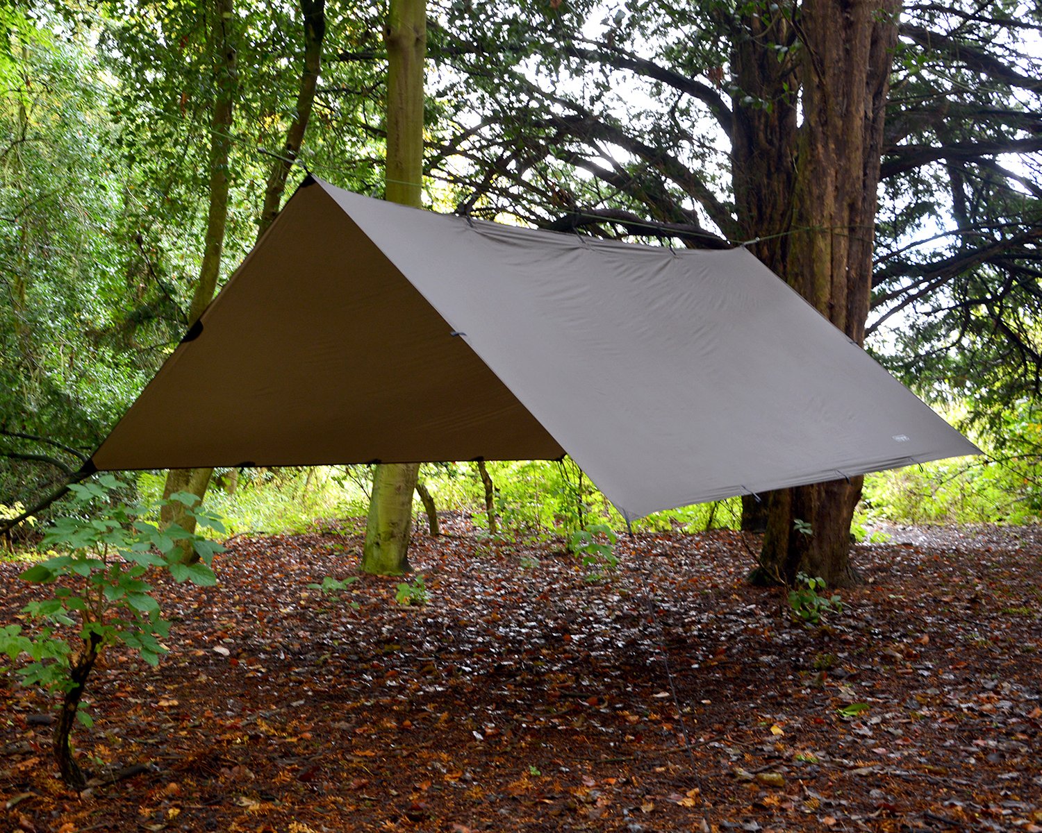 Amazon.com: DD Hammocks - DD Superlight Tarp: 10ft x 10ft : Sports