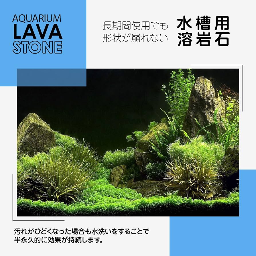 Amazon | アクアリウム溶岩石 Large 大 レンガサイズ 長さ:20.2cm 高さ