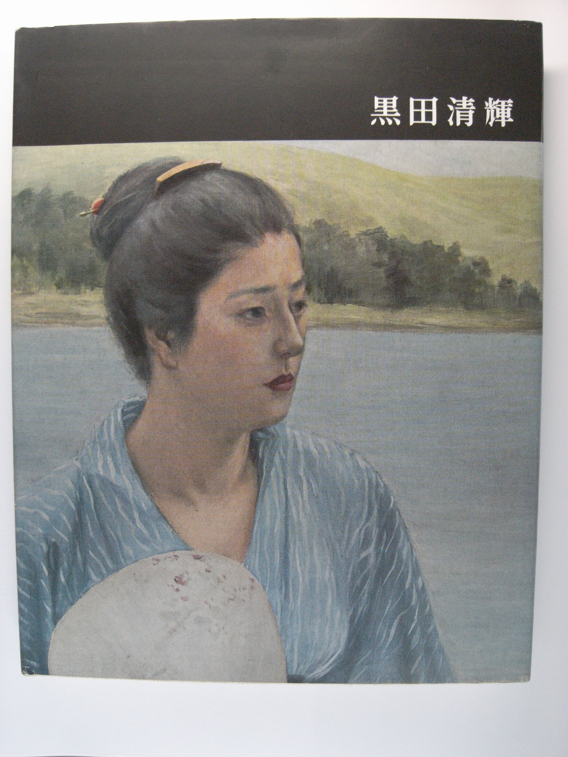 講談社版 日本近代絵画全集 15冊セット 初版と思われます 月報12