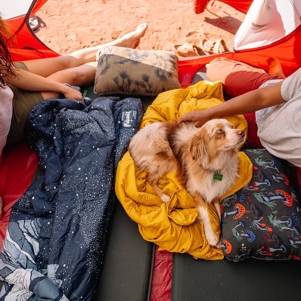 Amazon.co.jp: THERMAREST(サーマレスト) アウトドア キャンプ用