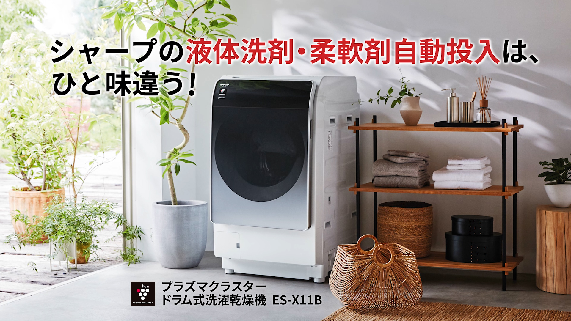Amazon.co.jp: シャープ（SHARP）: 洗濯機