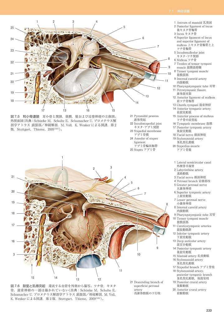 脳の機能解剖と画像診断 第2版 : 眞柳 佳昭: Amazon.sg: Books