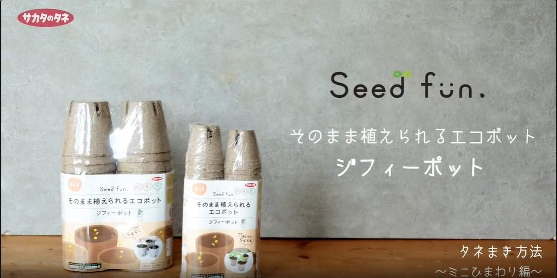 Amazon.co.jp: サカタのタネ そのまま植えられるエコポット ジフィー