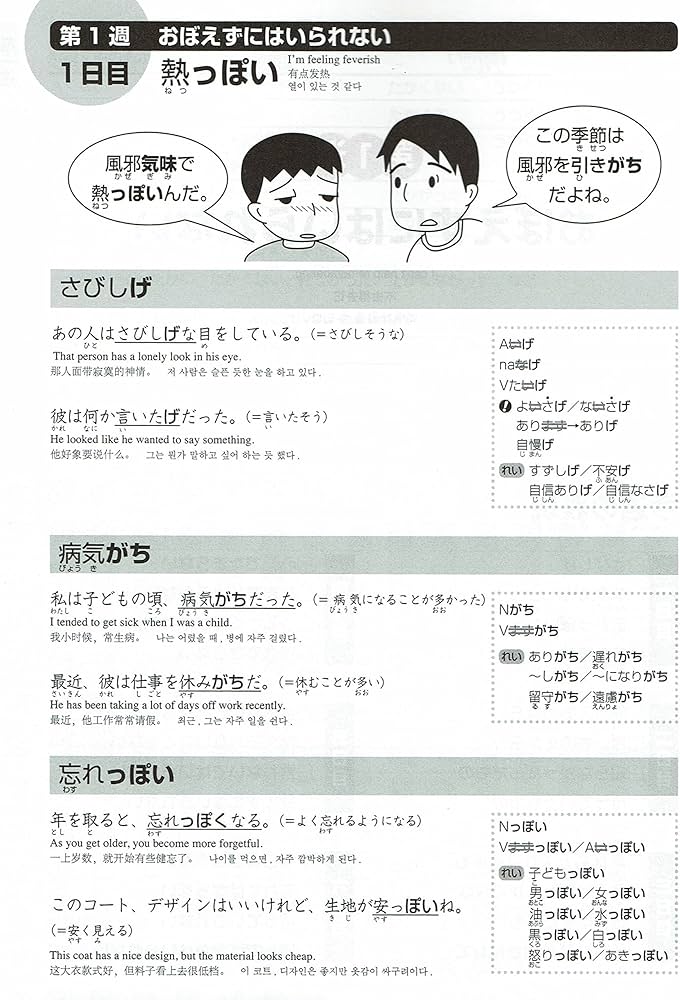 日本語総まとめ N2 文法 (「日本語能力試験」対策) Nihongo Soumatome