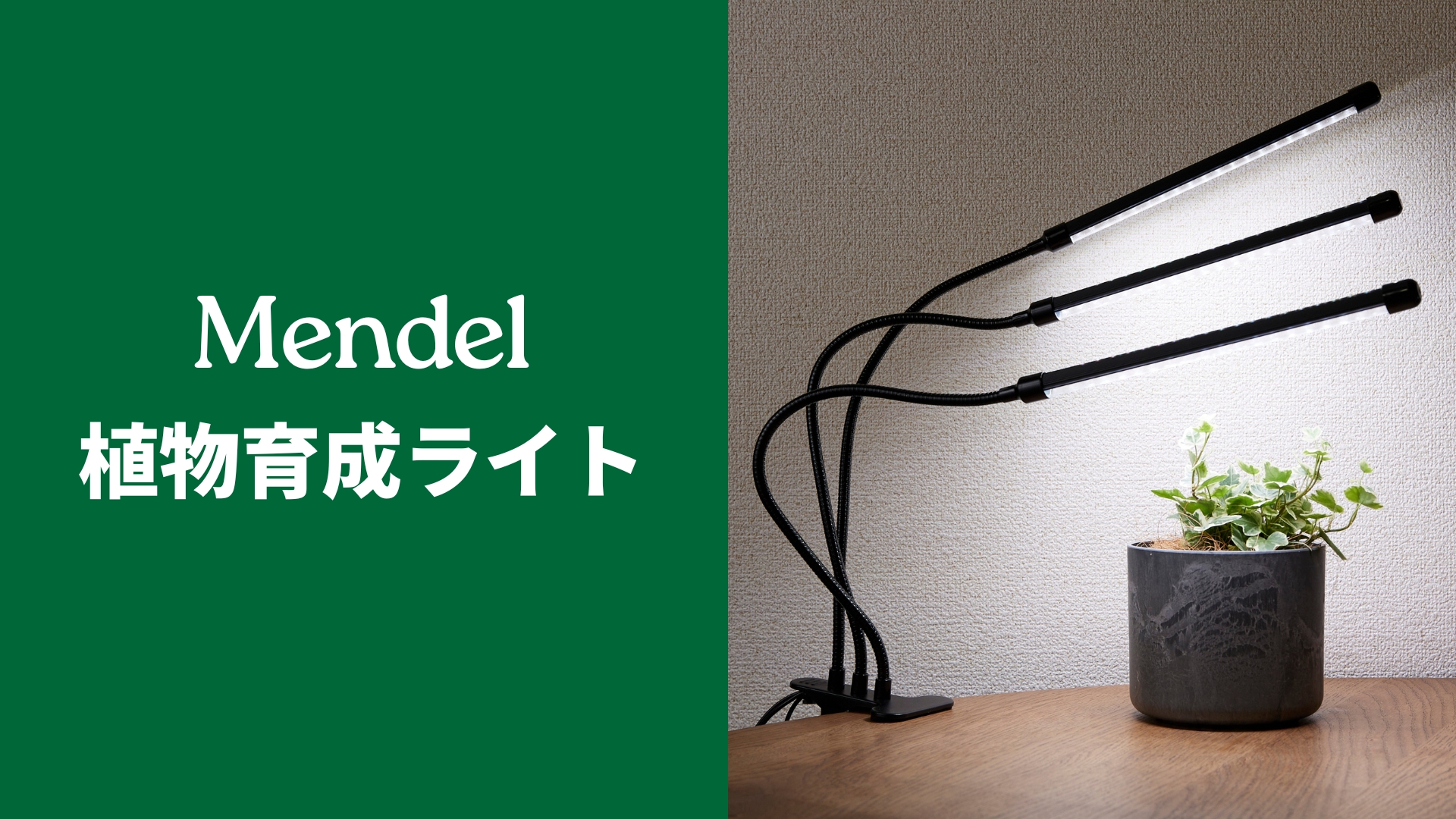 Amazon.co.jp: Mendel 植物育成ライト LED スタンド リモコン タイマー