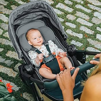 Amazon.com : Chicco Corso Primo ClearTex Travel System, Includes