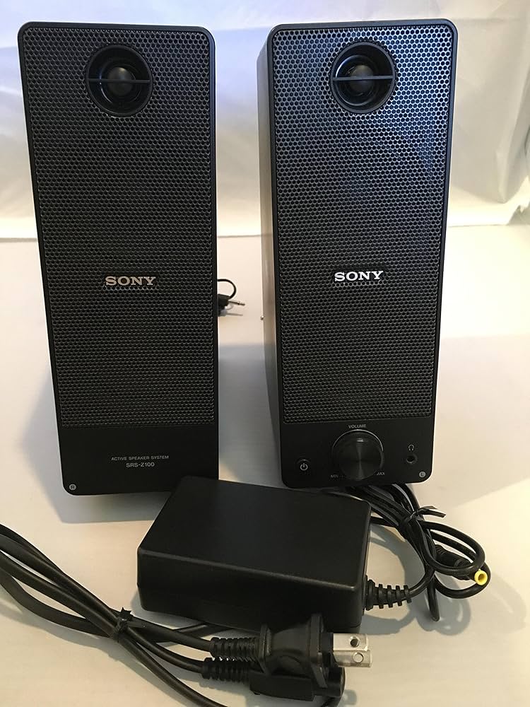 Amazon.co.jp: SONY アクティブスピーカーシステム Z100 SRS-Z100