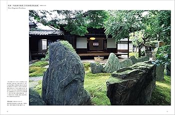 91aN3pFq+IL._AC_UF350,