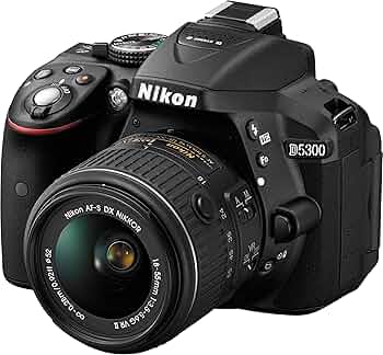 Amazon.com : Nikon D5300 24.2 MP CMOS Digital SLR Camera with 18