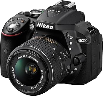 Amazon.com : Nikon D5300 24.2 MP CMOS Digital SLR Camera with 18