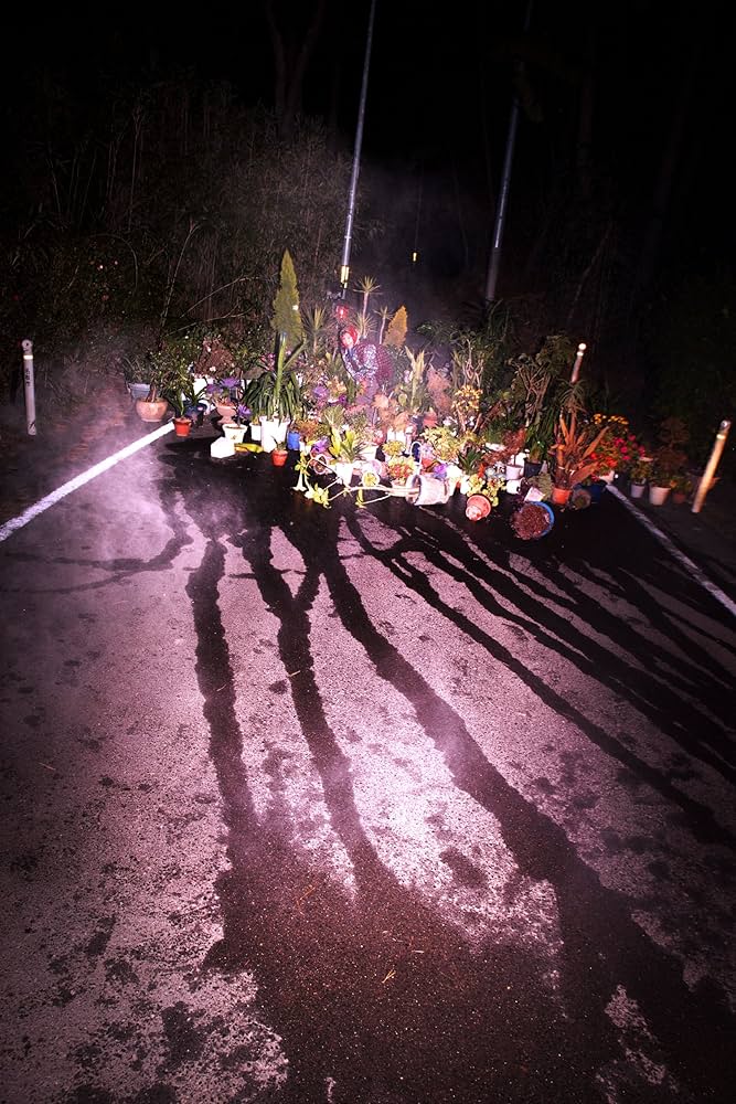 Amazon.co.jp: 螺旋海岸 album : 志賀理江子: 本