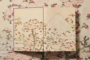 91eZKVZkTlL._AC_UF350,