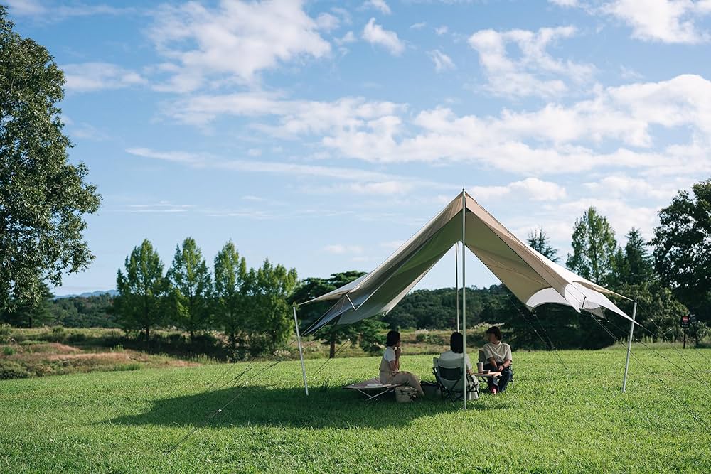 Amazon | スノーピーク(snow peak)2レイヤータープ ラーグ Pro. | Snow