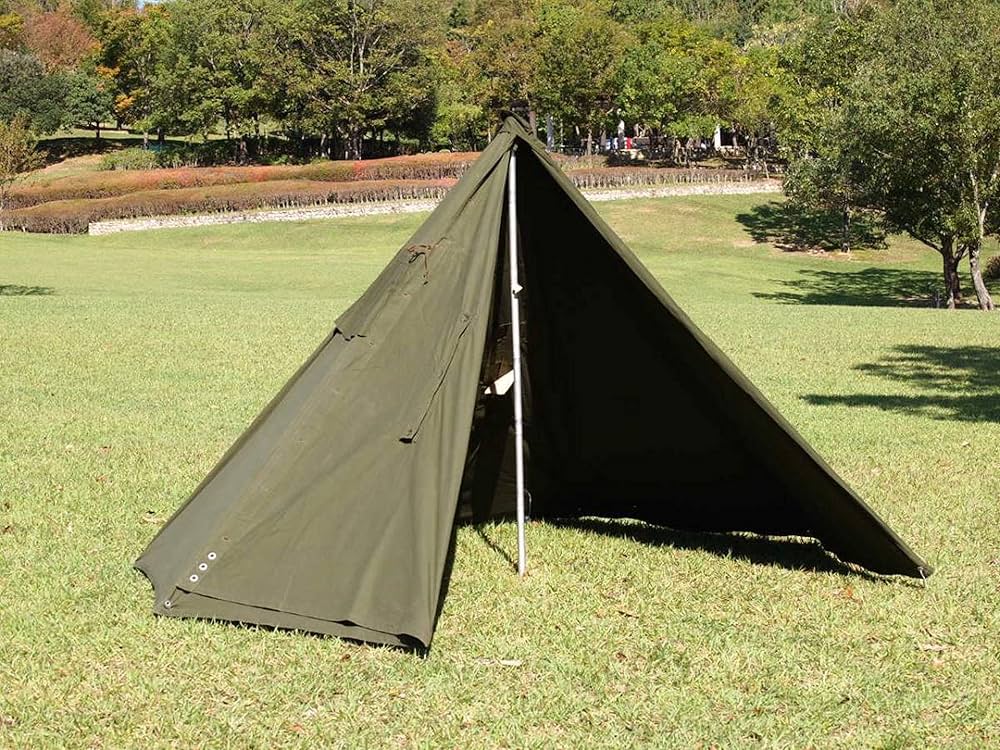 91ecTMSKmcL._AC_UF1000,