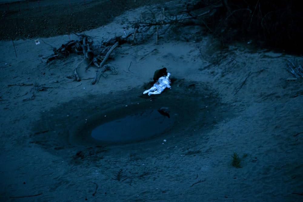 Amazon.co.jp: 螺旋海岸 album : 志賀理江子: 本