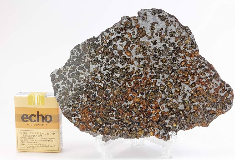 91hulbdfA9L._AC_UF894,