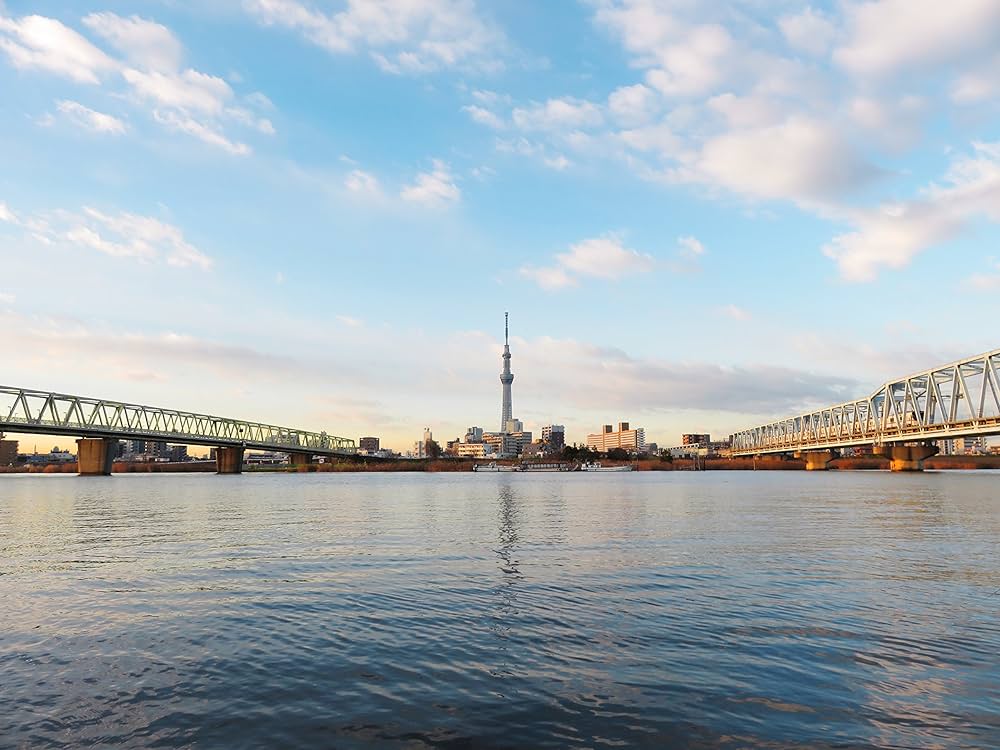 Amazon | Canon デジタルカメラ PowerShot SX710 HS ブラック 光学30倍