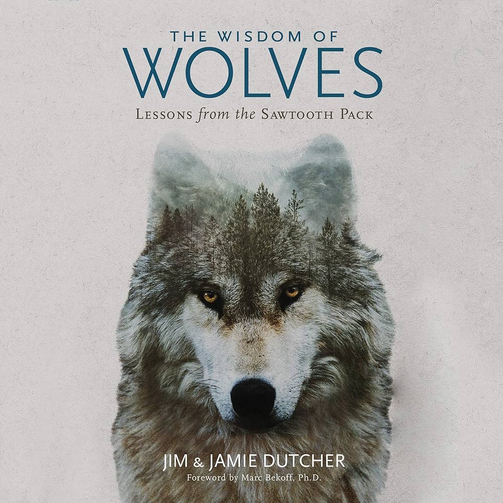 The Wisdom of Wolves: Lessons from the Sawtooth Pack: Dutcher, Jim