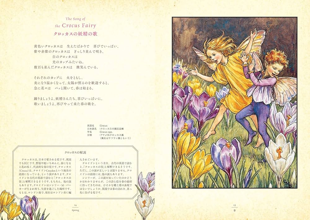 Amazon.co.jp: 花の妖精 -英国の花たち- : シシリー・メアリー