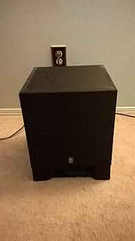 Amazon.co.jp: YAMAHA サブウーファー(1本) YST-SW010B : 家電＆カメラ