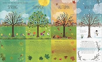 RHS The Magic & Mystery Trees: Claire McElfatrick: 9780241355435