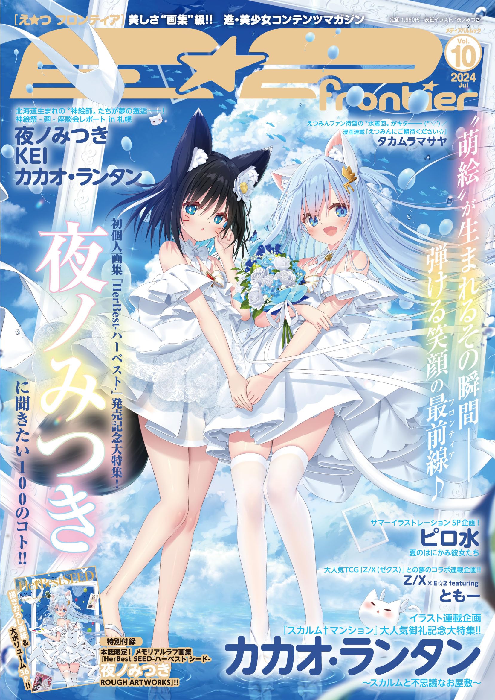 Amazon.co.jp: E☆2(えつ) frontier Vol.10 (メディアパルムック) : 本