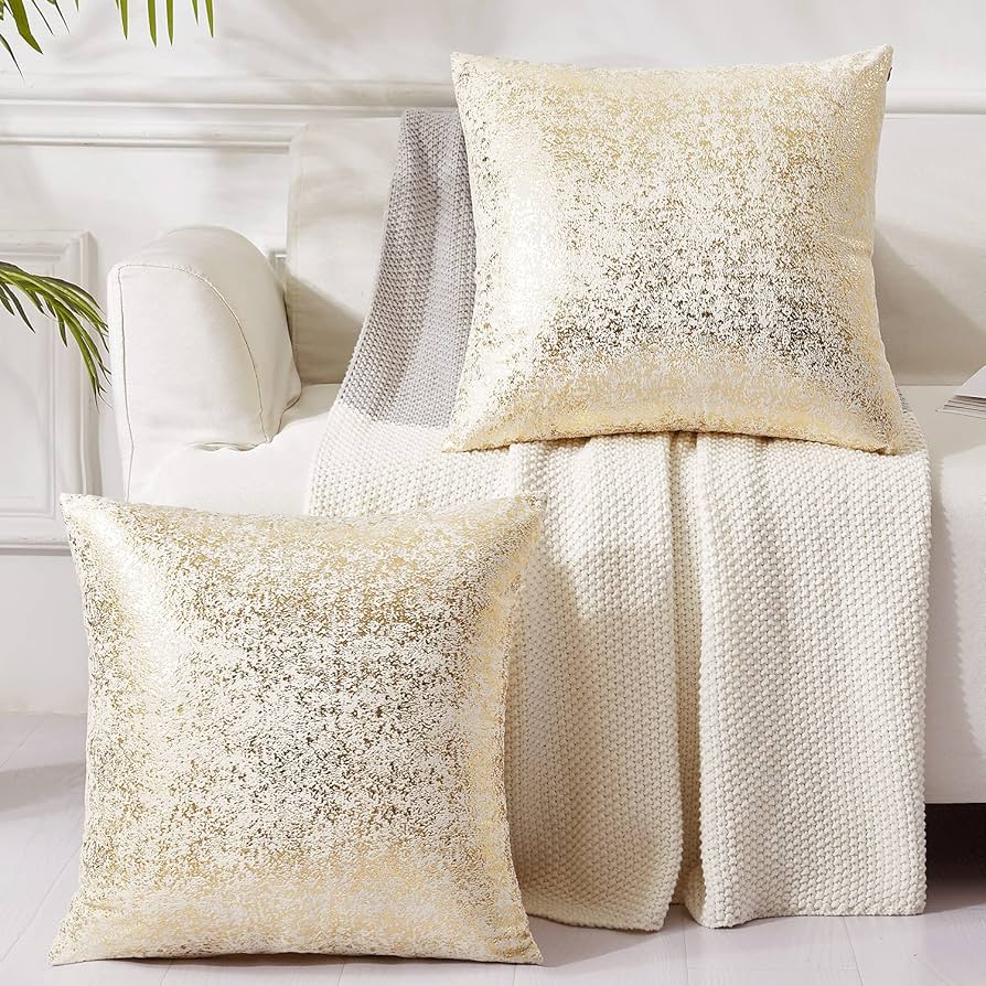 Amazon.co.jp: EUCIOR シャンパンクッションカバー 18x18インチ