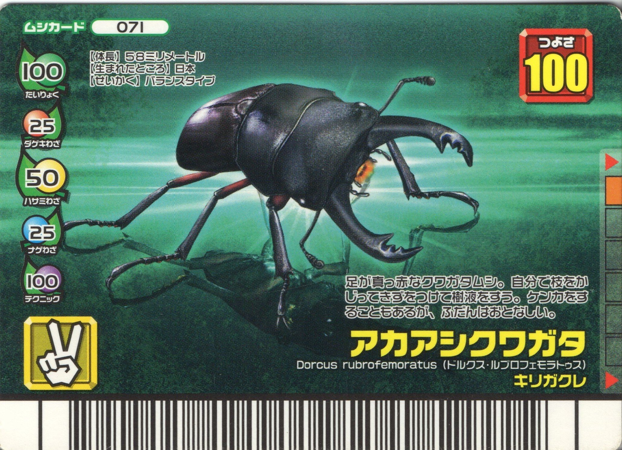 Amazon.co.jp: ムシキング MUSI-071-FG アカアシクワガタ 【フォレスト