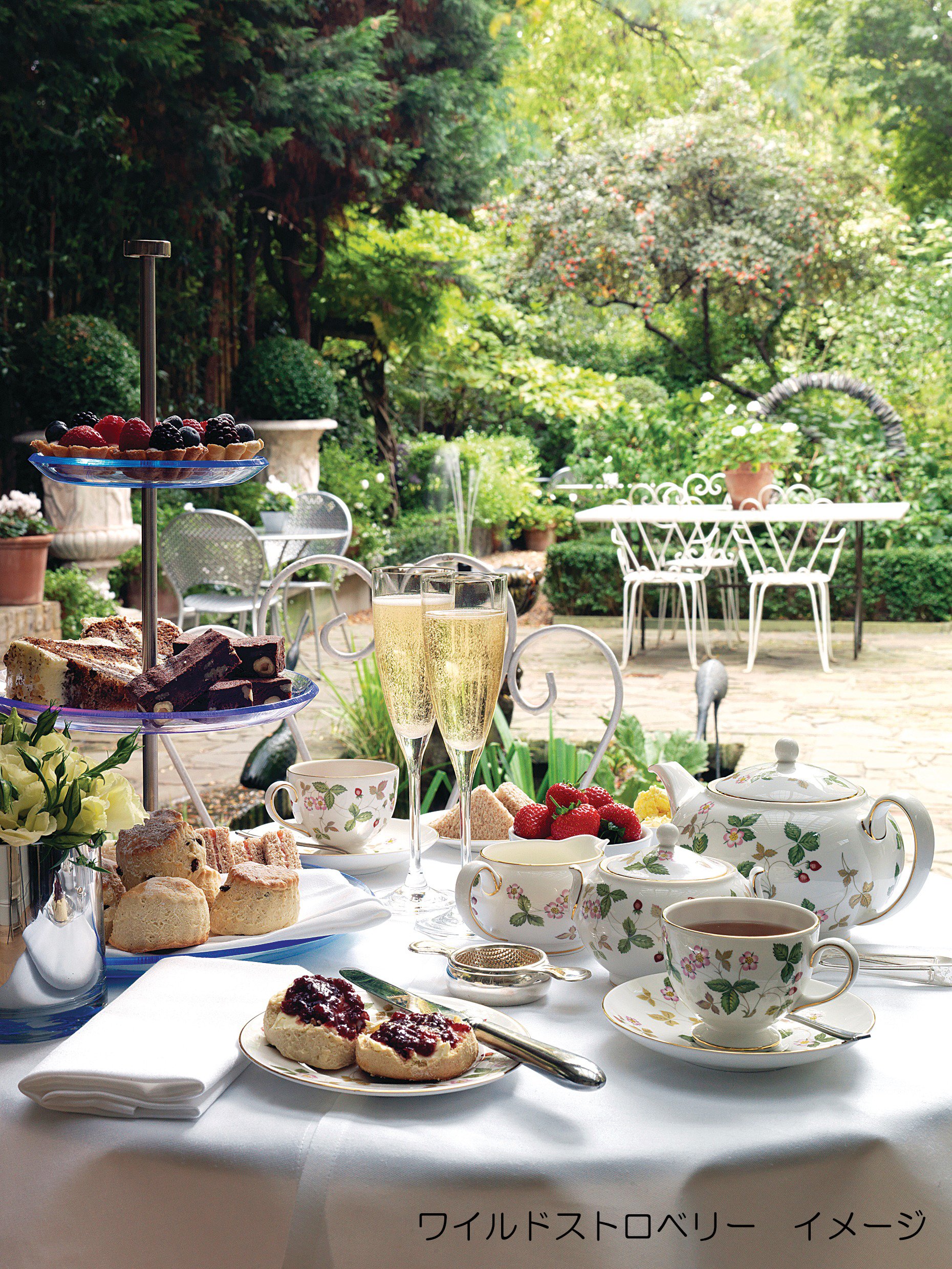 Amazon.co.jp: 【正規輸入品】ウェッジウッド ワイルドストロベリー