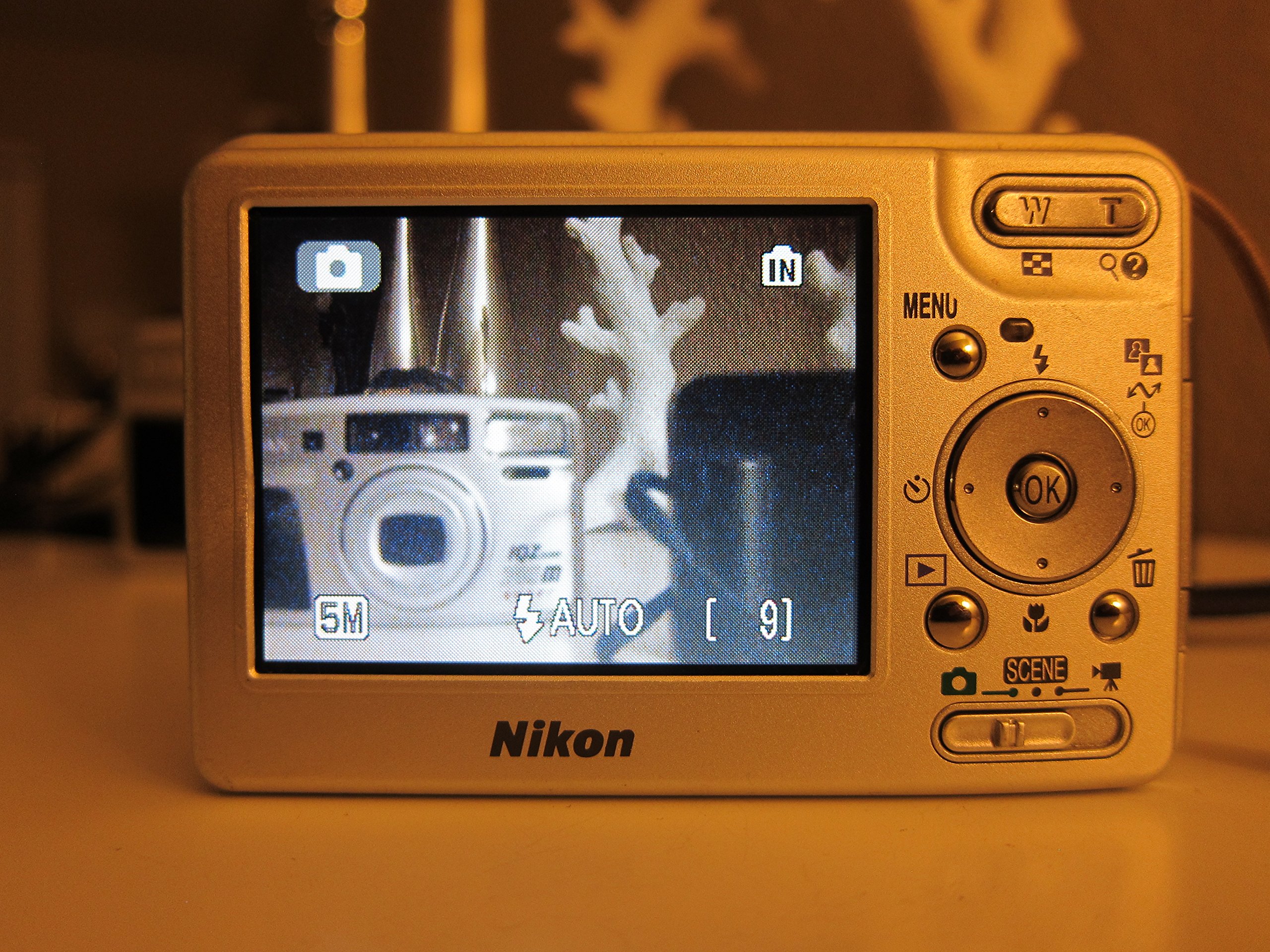 Amazon.com : Nikon Coolpix S1 5.1 MP Slim-Design Digital Camera