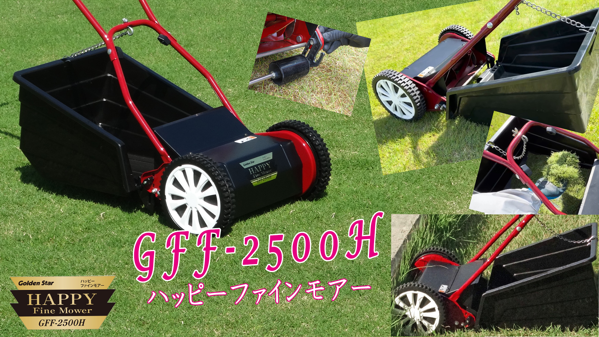 Amazon.co.jp: キンボシ(Kinboshi)ゴールデンスター ハッピーファイン