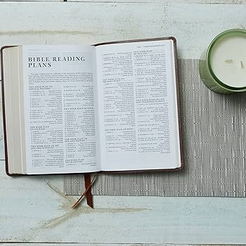 NRSV Catholic Edition Gift Bible, Teal Leathersoft (Comfort Print