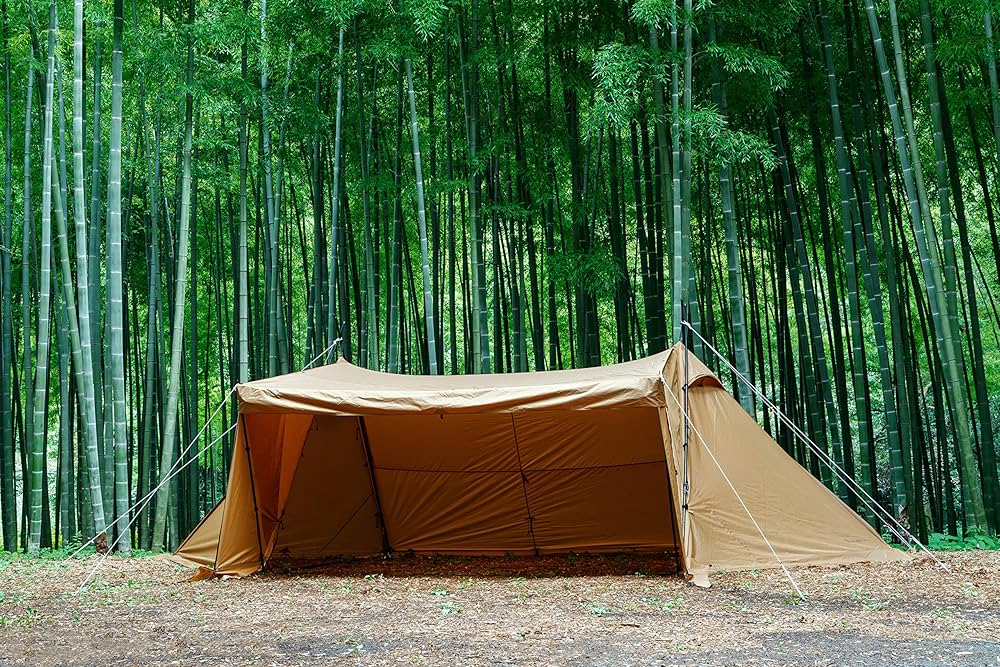 Amazon | テンマクデザイン サーカス720SS | tent-Mark DESIGNS | タープ