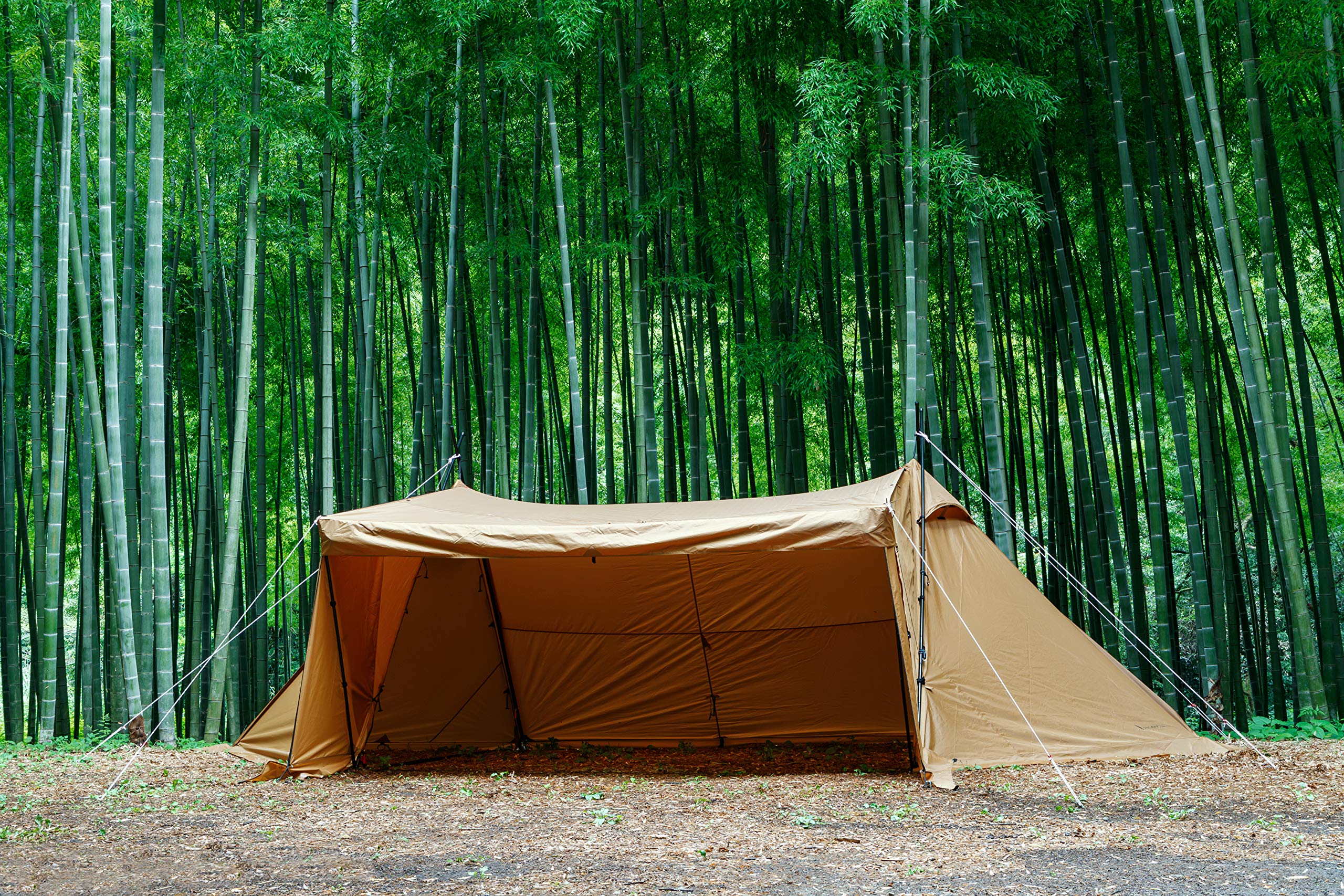 Amazon | テンマクデザイン サーカス720SS | tent-Mark DESIGNS | タープ