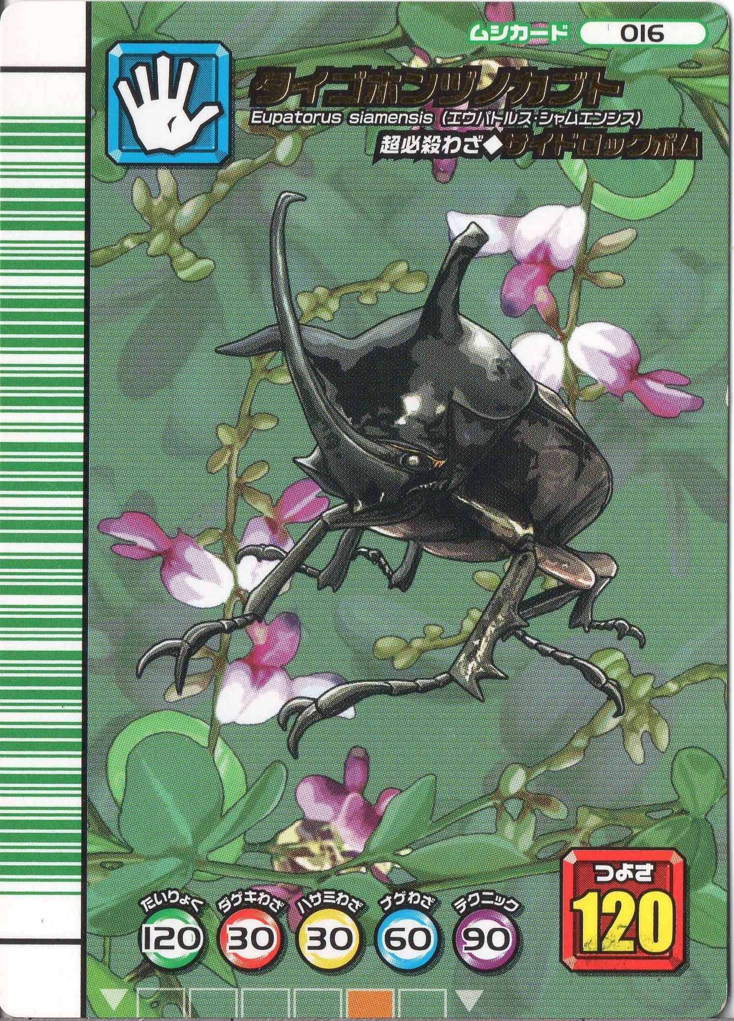 Amazon.co.jp: ムシキング MUSI-016-5th1 タイゴホンヅノカブト 【5