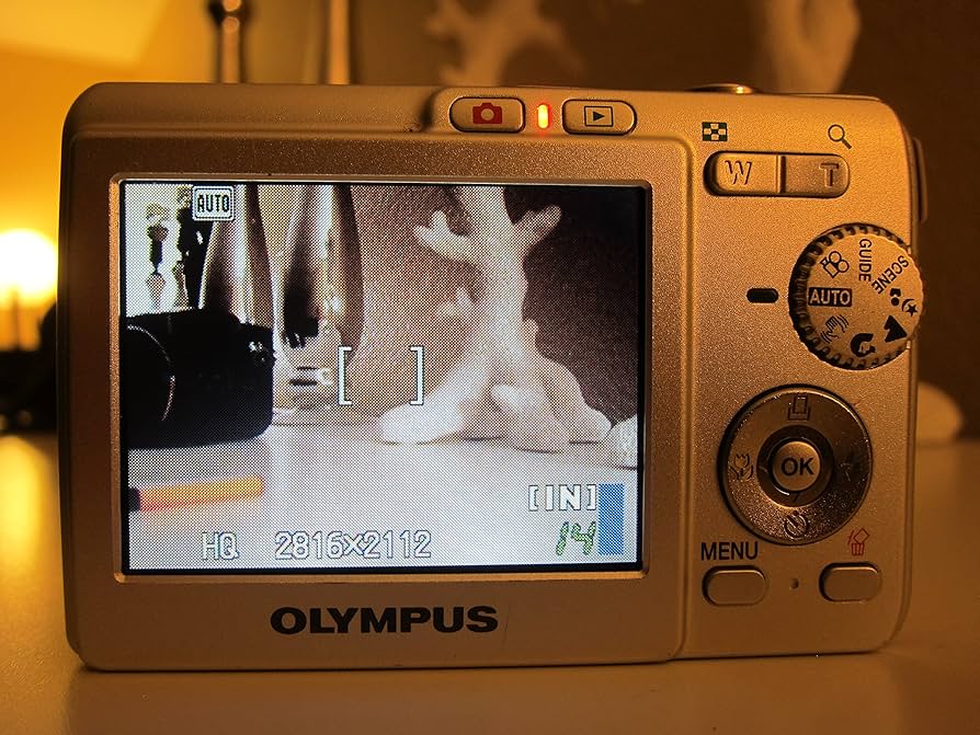 Amazon.com : OM SYSTEM OLYMPUS FE-190 6MP Digital Camera with