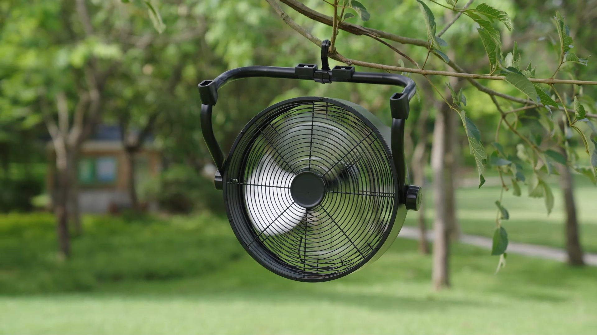 Amazon.com: Air Choice 12