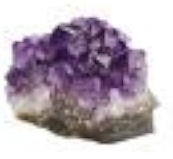 01dwatJaPBL._AC_UF350,