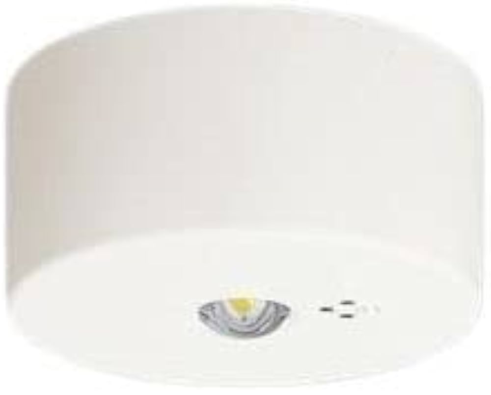 Amazon | パナソニック(Panasonic) 天井直付型 LED 昼白色 非常用照明