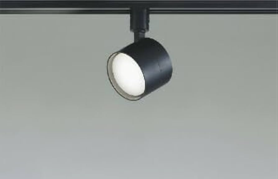 Amazon | KOIZUMI LEDスポットライト 配線ダクトレール用