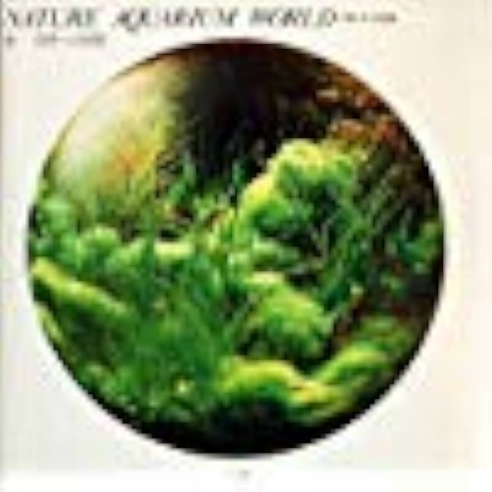 Amazon.co.jp: 水-自然への回帰: 天野尚作品集 : 天野 尚: 本