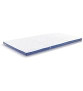 Amazon.co.jp : テンピュール(Tempur) アウトレット フトン デラックス