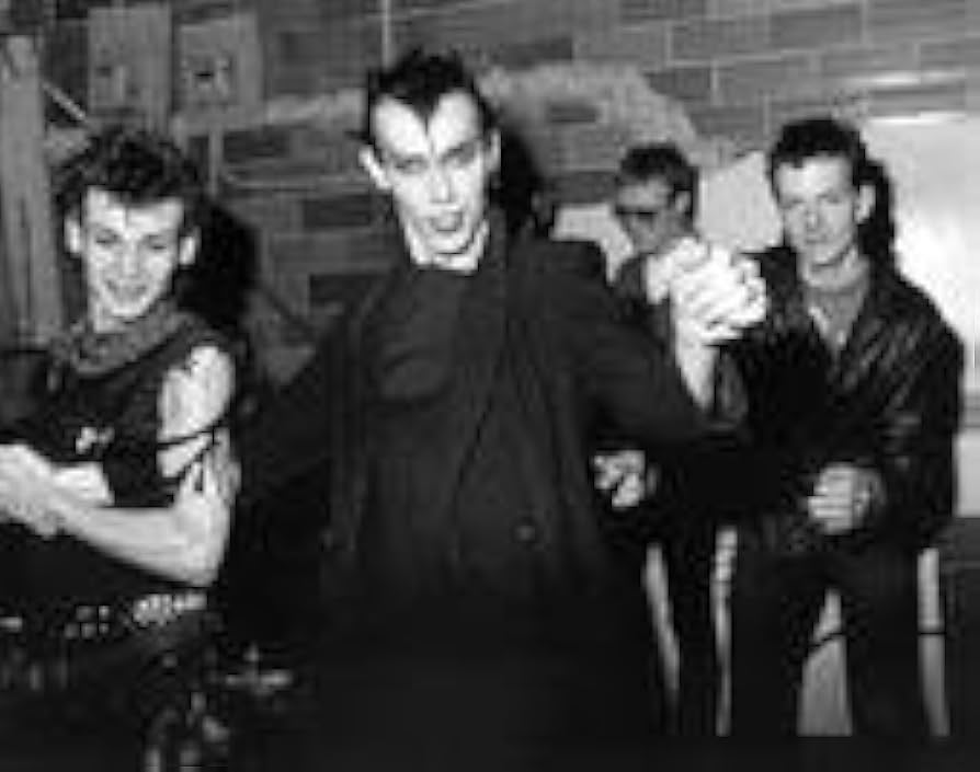 Amazon.co.jp: Bauhaus 