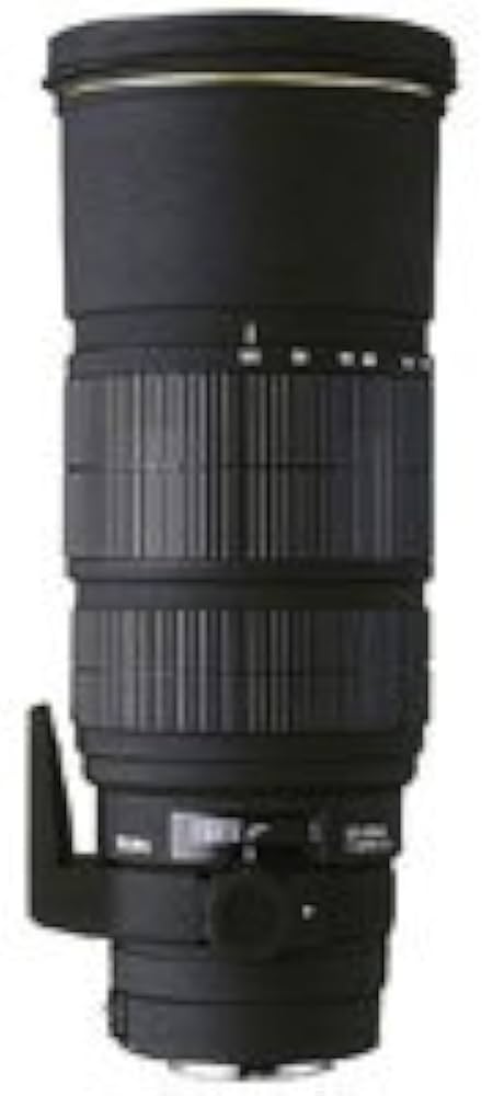 Amazon.com : Sigma 120-300mm f/2.8 EX IF HSM APO Lens for Canon