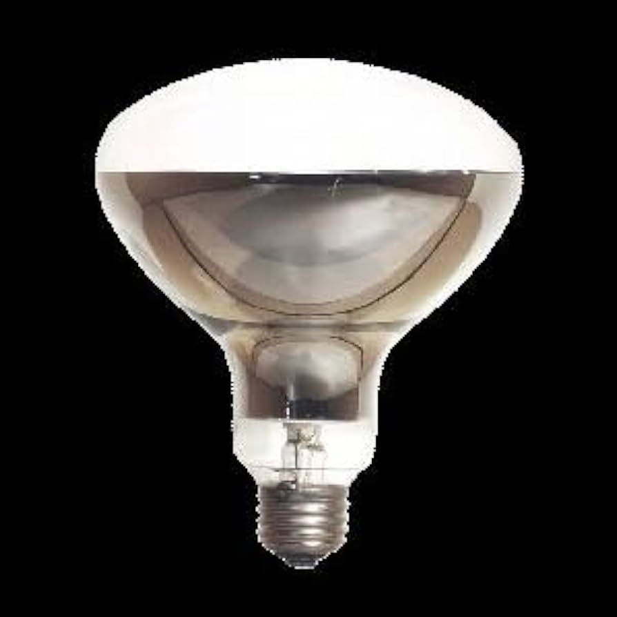 Amazon | アサヒ レフランプ（屋内用） 200W E26口金 RF110V-200W/110