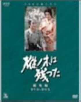 210BG97EMXL._AC_UF350,