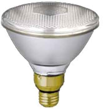 Amazon | 東芝 屋外用 ビームランプ 散光形 100W形 BRF110V80W